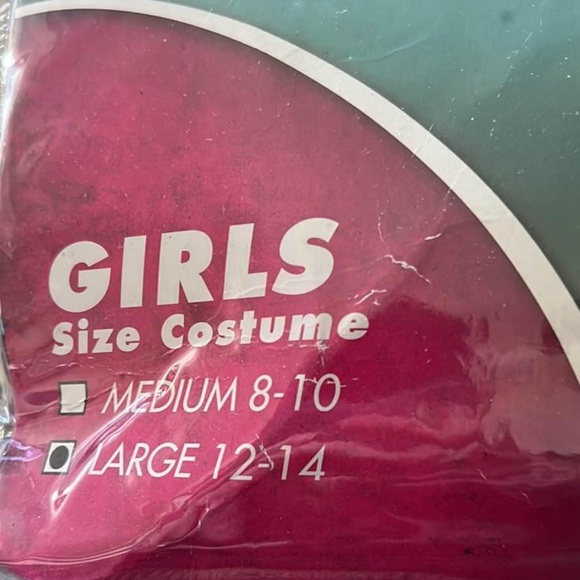 Girls Size Large 12-14 Day of the Dead Costume New Old Stock Spirit Halloween - Picture 6 of 7